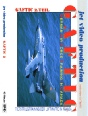 (04) GAFTIC 2
